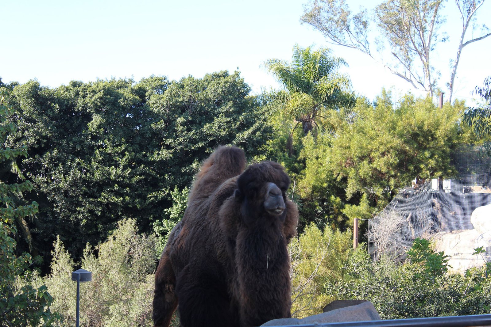 San Diego Zoo Part II 021